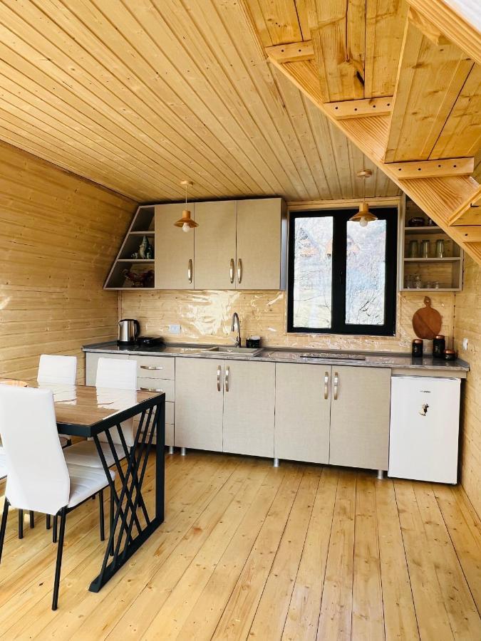Emotion Kazbegi Apartment Екстериор снимка