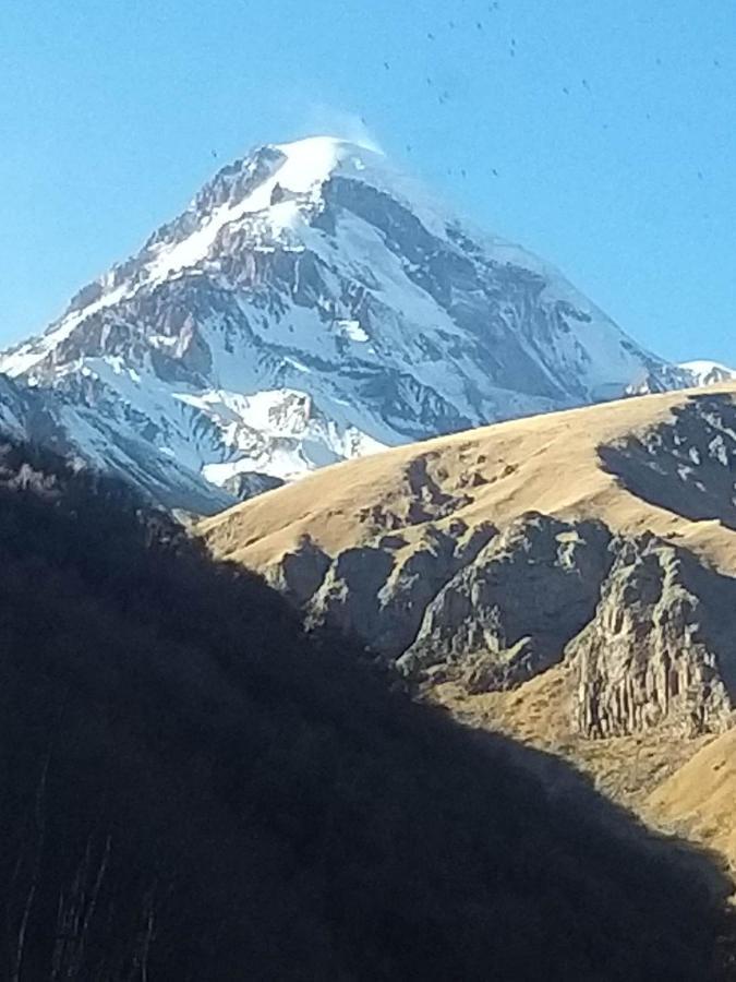 Emotion Kazbegi Apartment Екстериор снимка