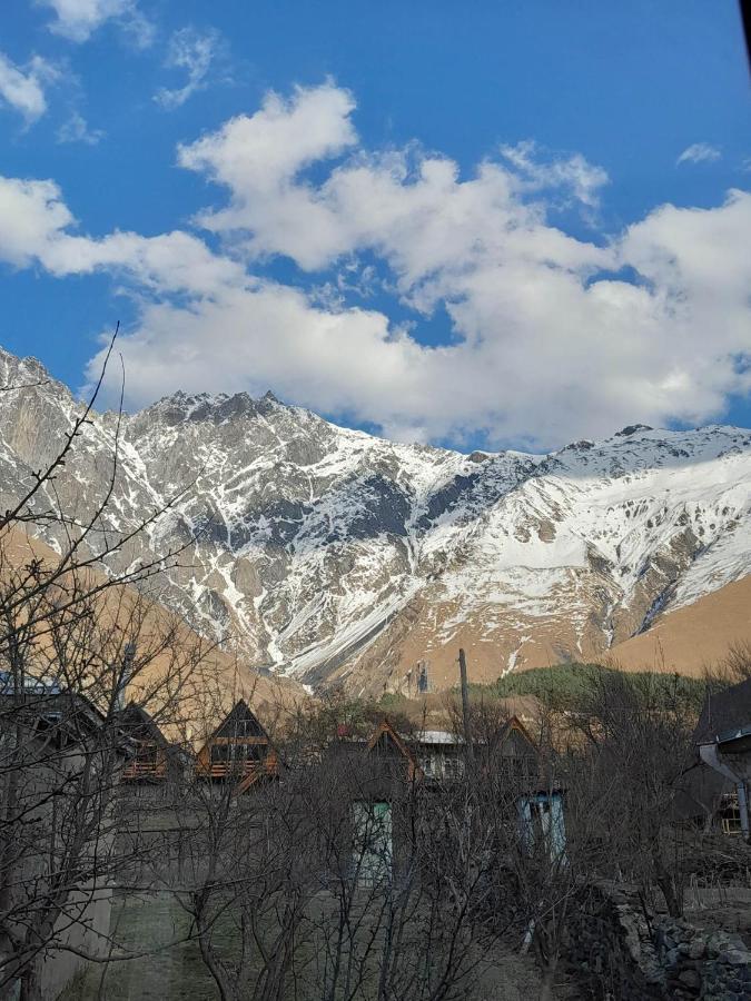 Emotion Kazbegi Apartment Екстериор снимка