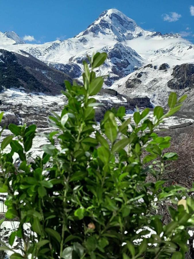 Emotion Kazbegi Apartment Екстериор снимка
