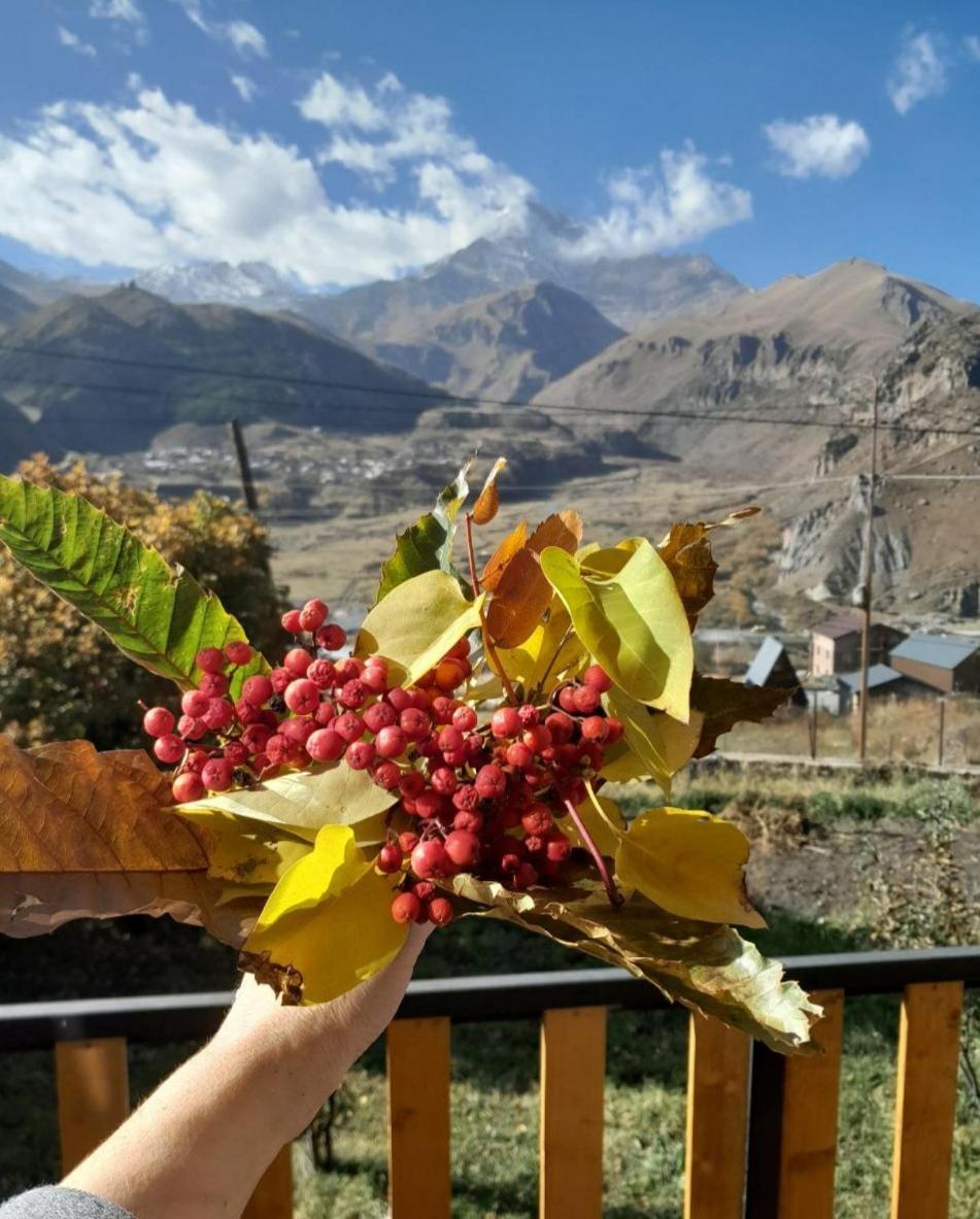 Emotion Kazbegi Apartment Стая снимка