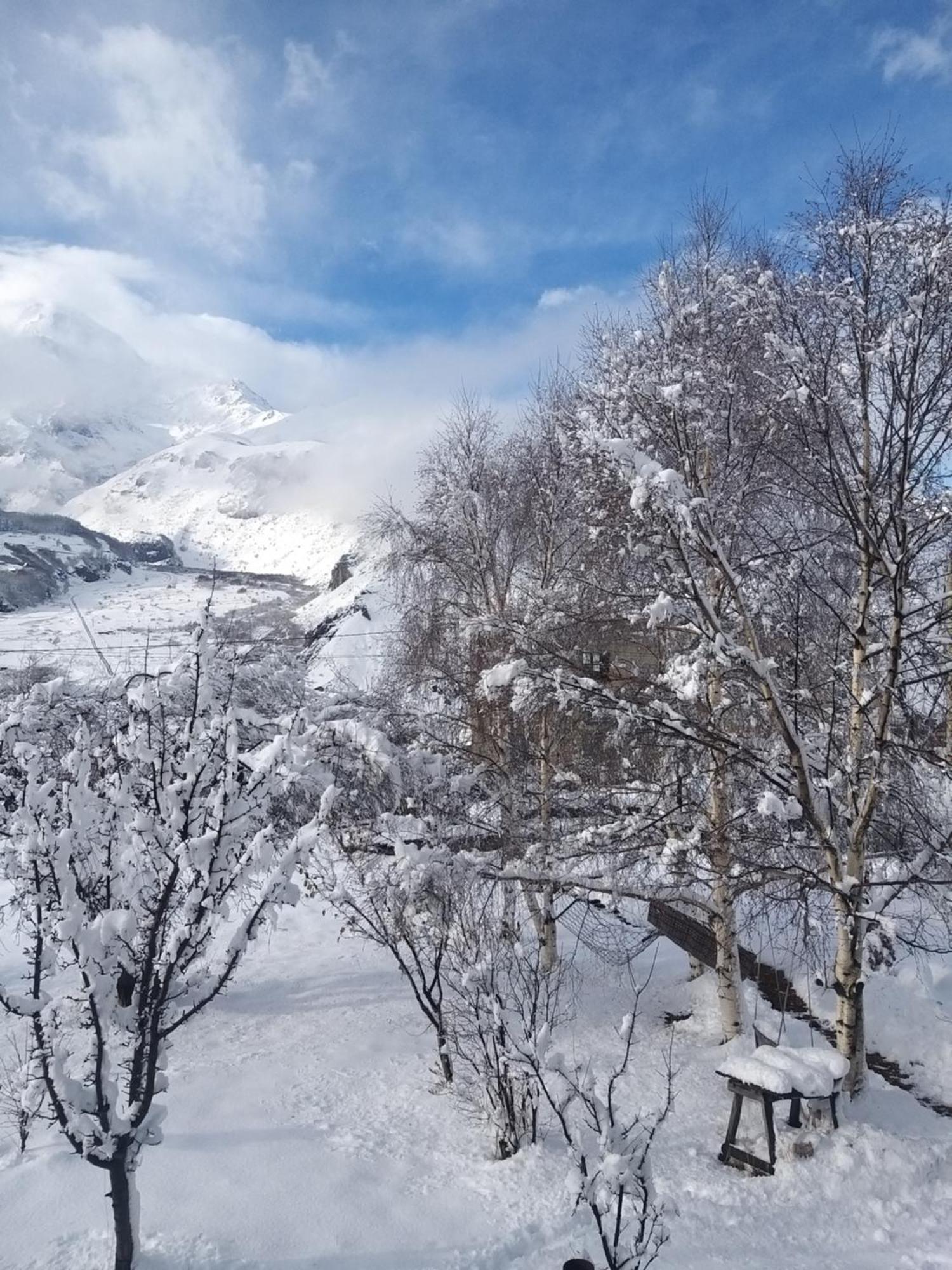 Emotion Kazbegi Apartment Стая снимка