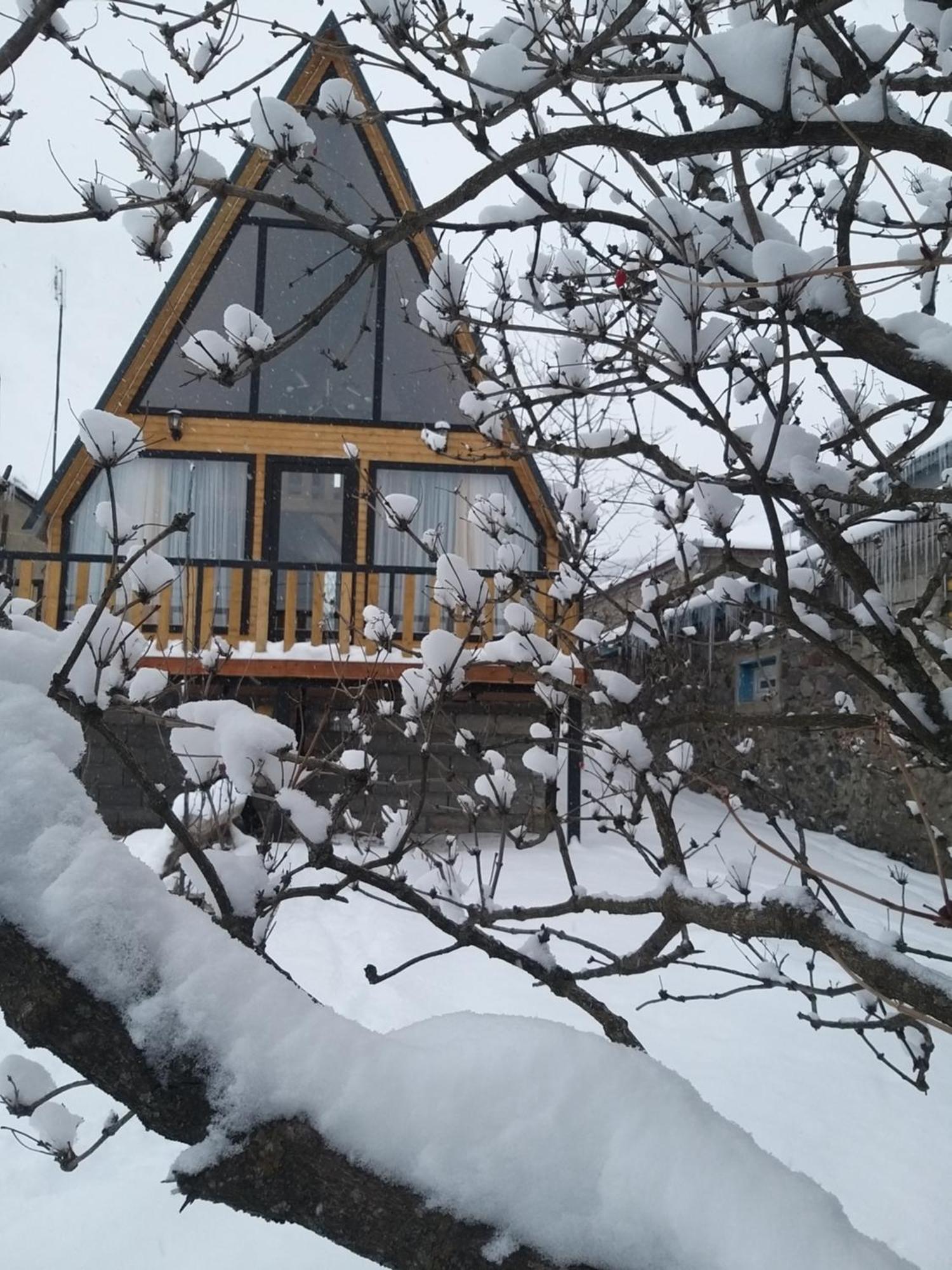 Emotion Kazbegi Apartment Стая снимка