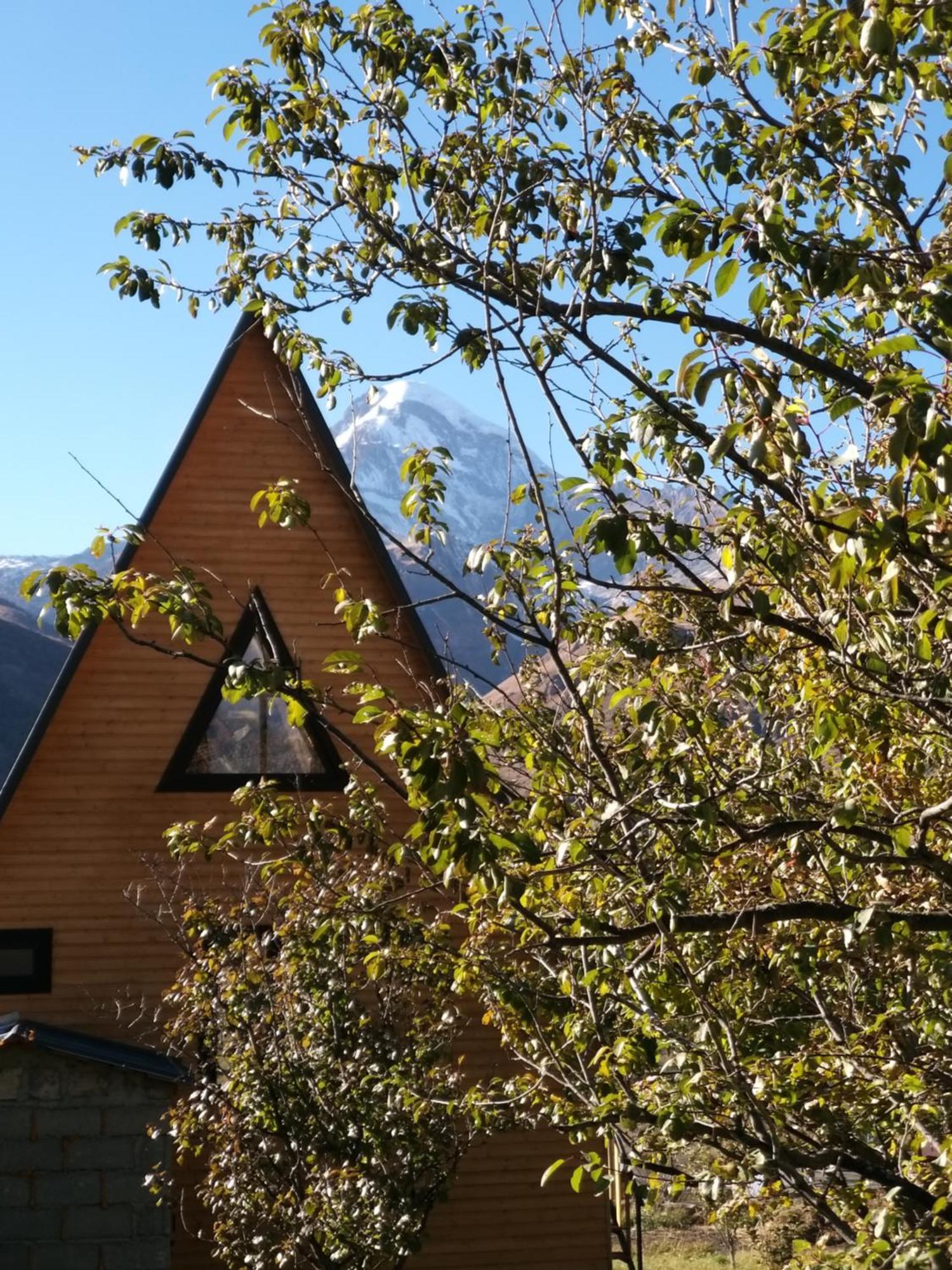 Emotion Kazbegi Apartment Стая снимка