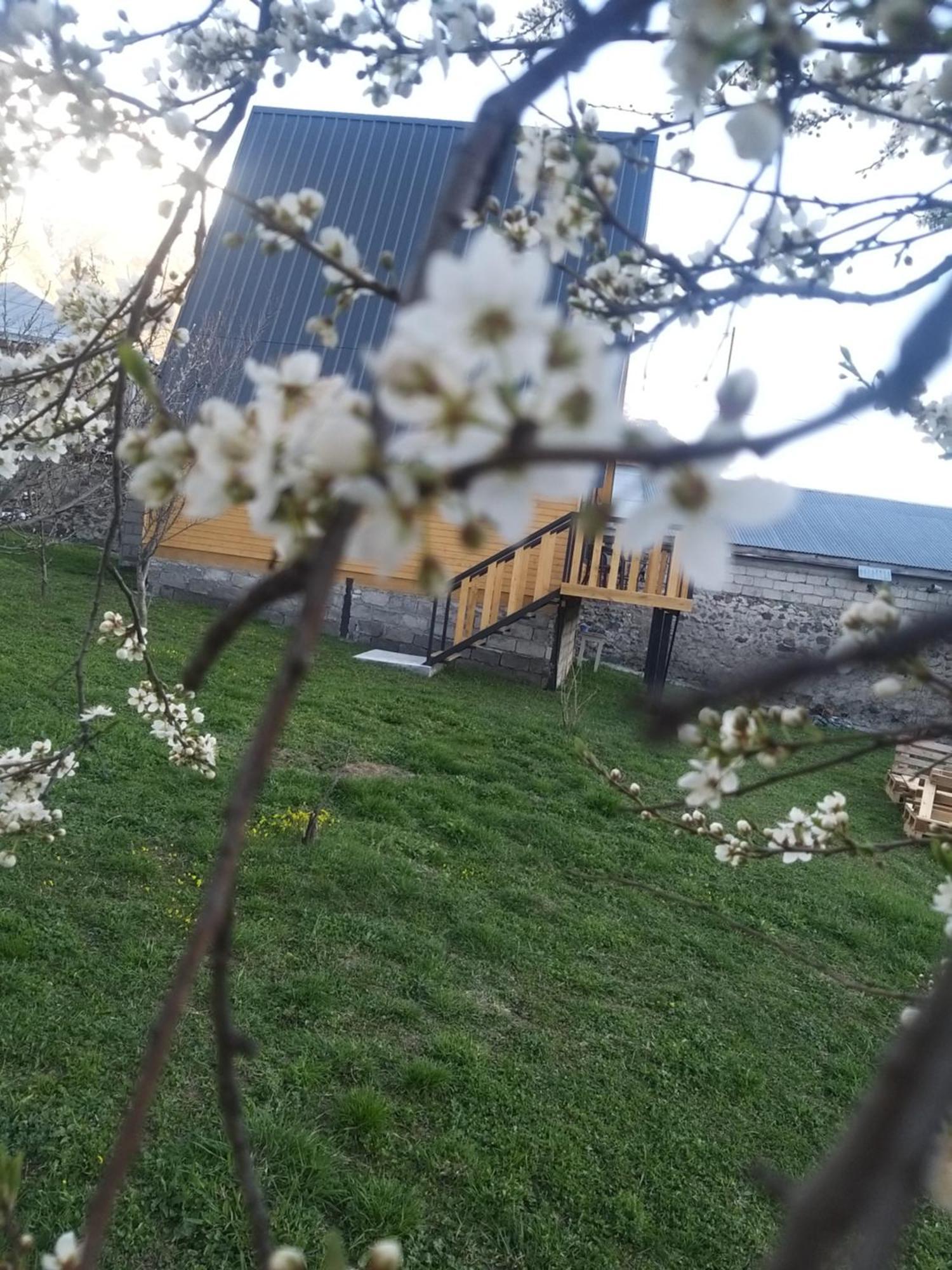 Emotion Kazbegi Apartment Стая снимка