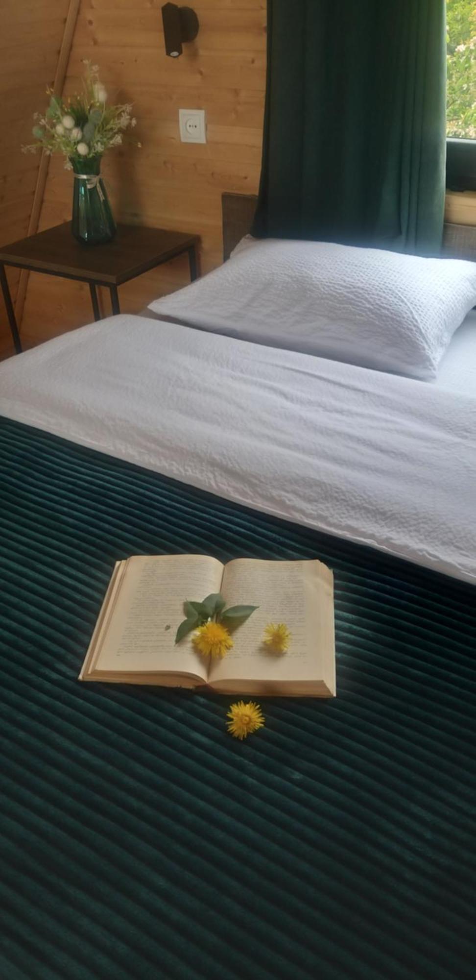 Emotion Kazbegi Apartment Екстериор снимка