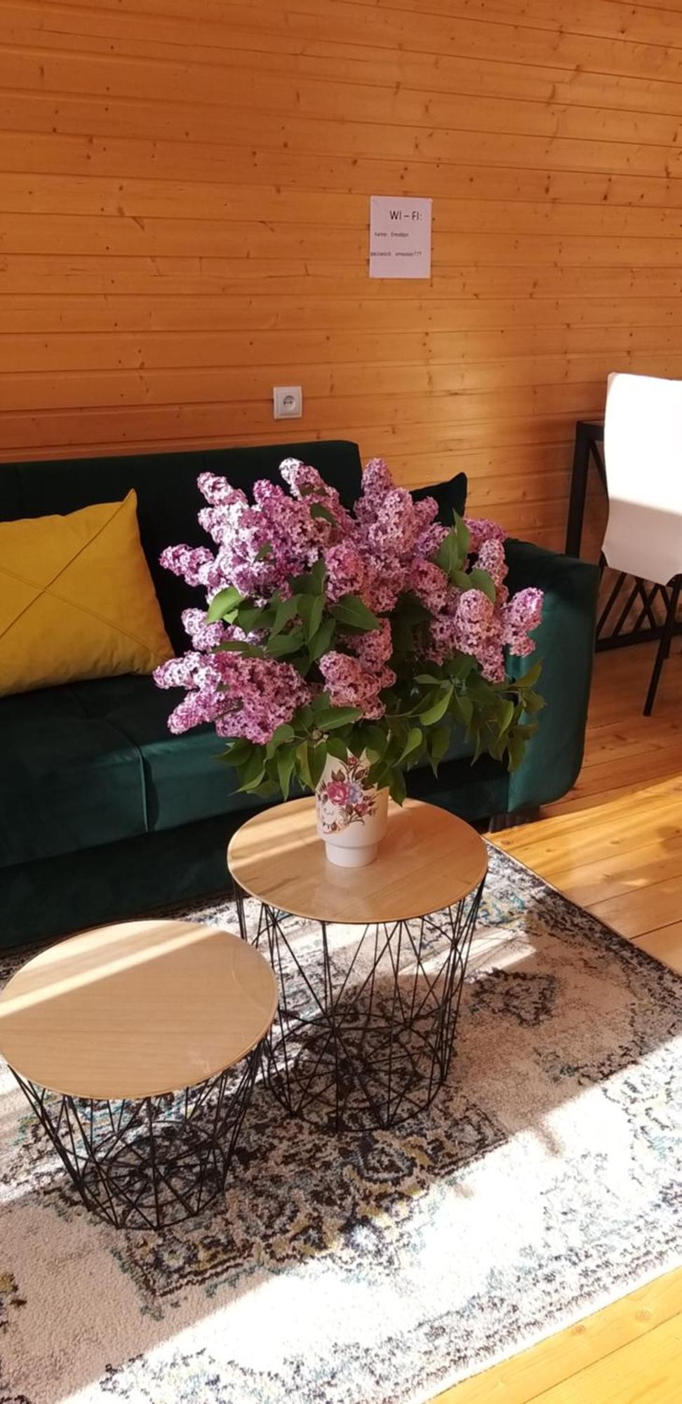 Emotion Kazbegi Apartment Екстериор снимка