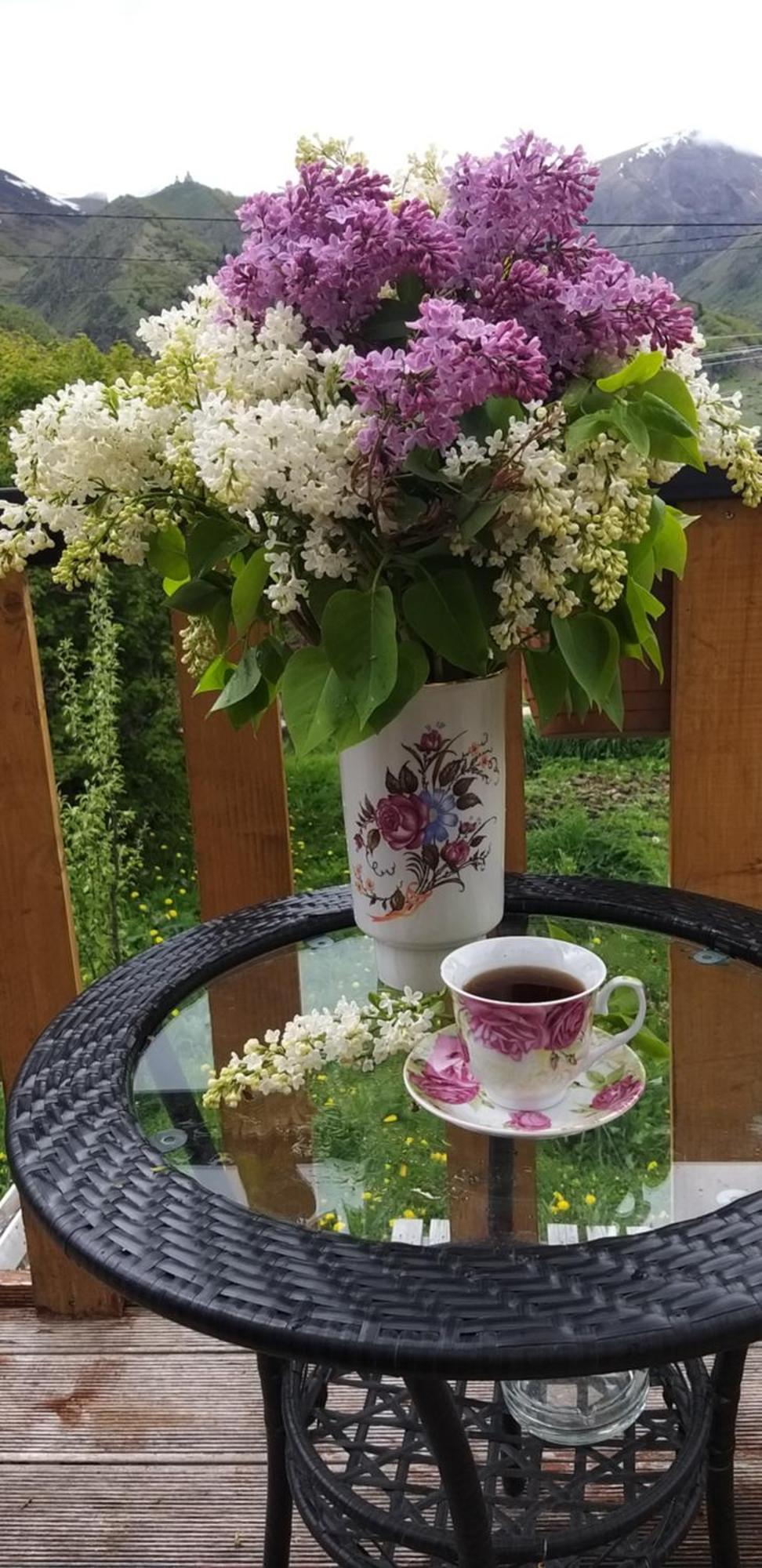 Emotion Kazbegi Apartment Екстериор снимка
