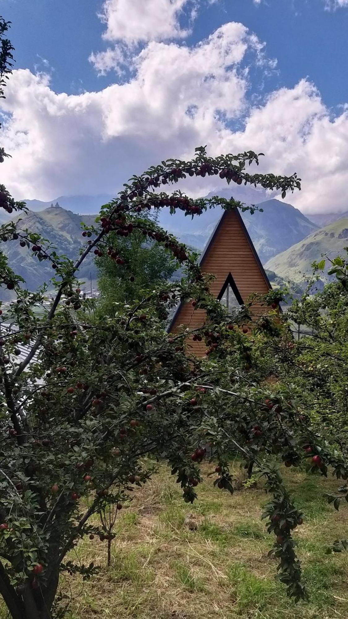 Emotion Kazbegi Apartment Екстериор снимка
